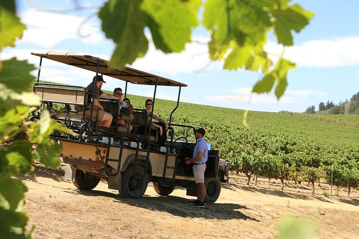 Vineyard Voyage at Jordan Estate